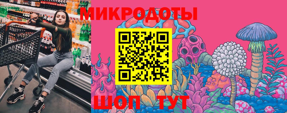 Псилоцибиновые грибы Psilocybe Гагарин