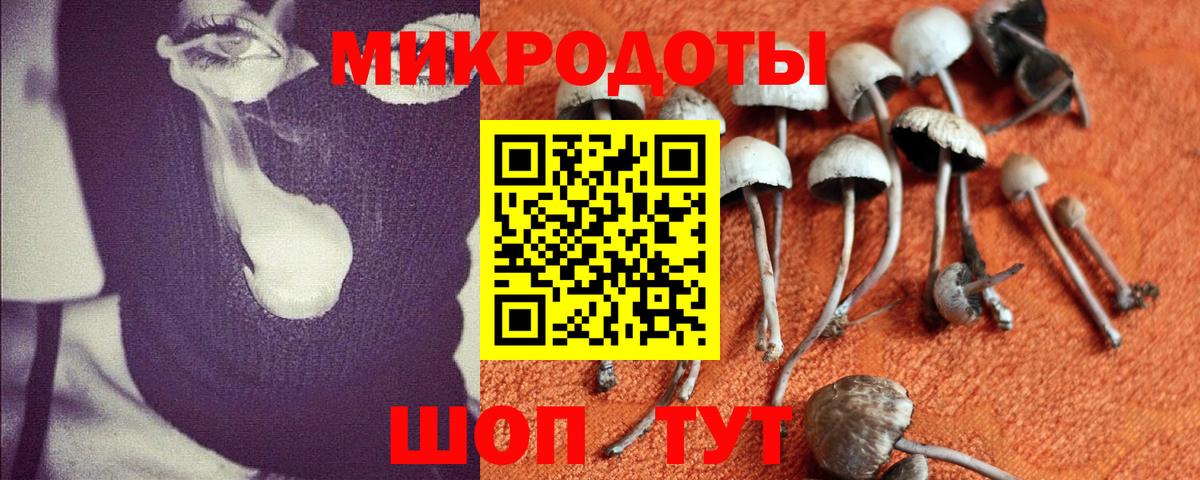 Галлюциногенные грибы Psilocybine cubensis  Псилоцибиновые грибы Psilocybine cubensis  Гагарин  купить  цена  Вход с VPN 