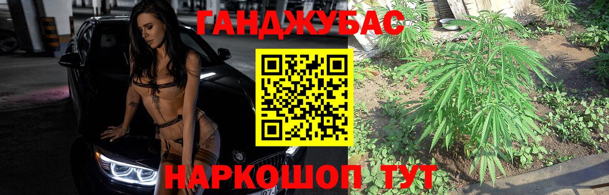 Конопля MAZAR  Вход с VPN  Конопля планчик  Гагарин  Канабис сатива 